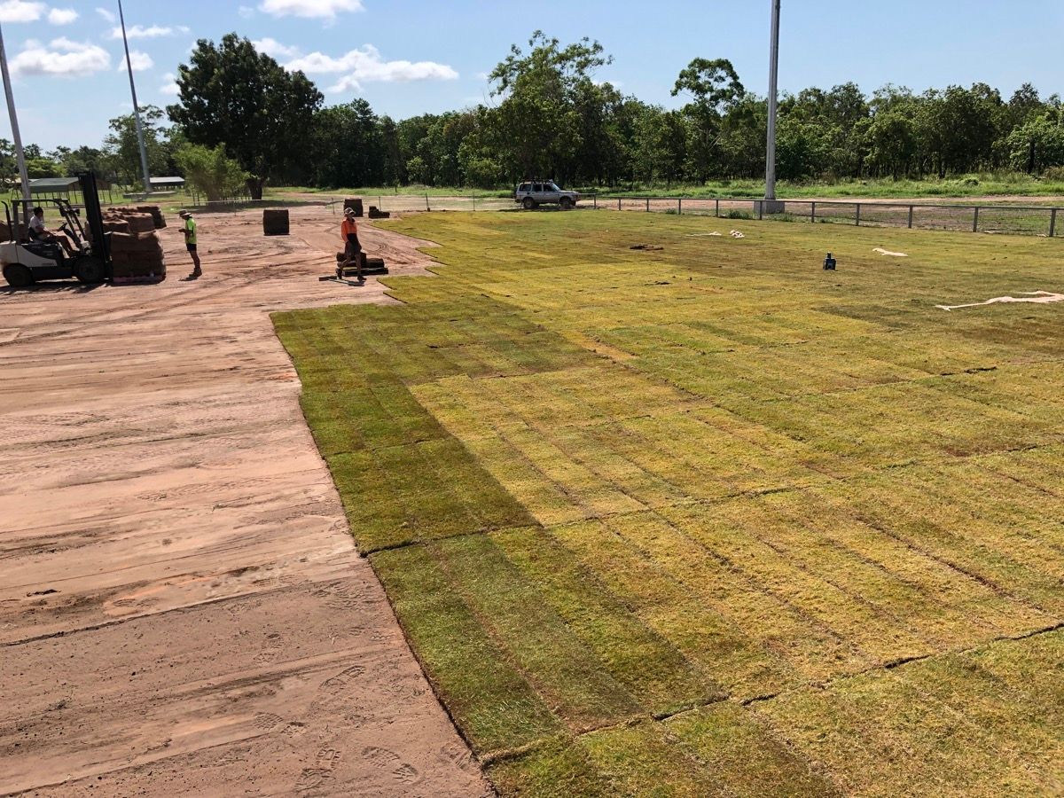 Wadeye Oval Turf | Hardy Group