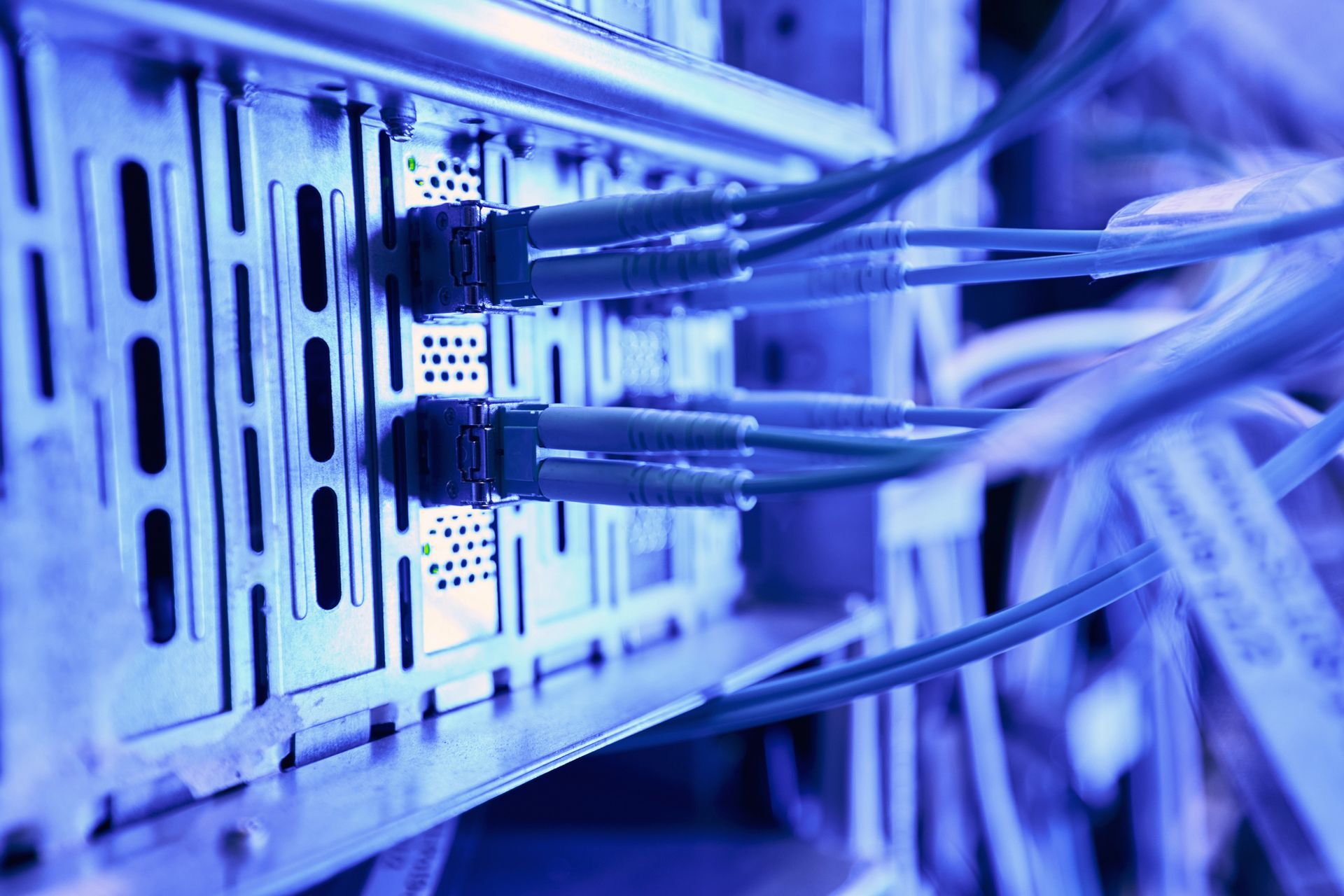Primo piano, illuminato di blu, di cavi di rete collegati all'hardware del server in un data center.
