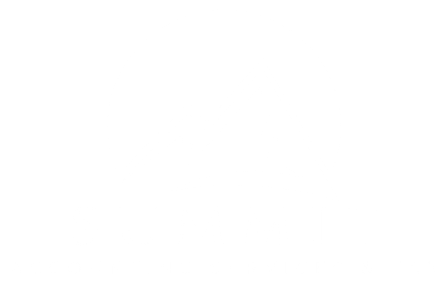 Summit Accounting Services & Tax logo