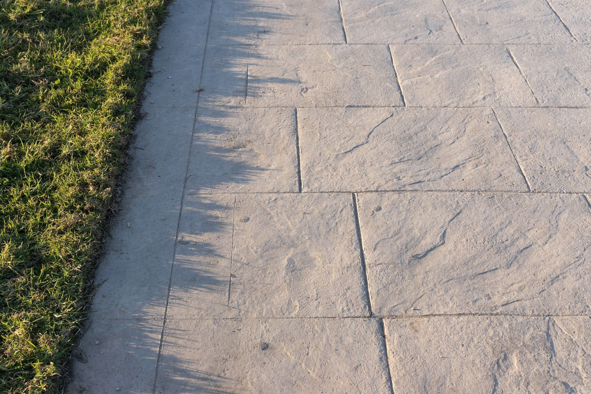 Sunlit concrete sidewalk beside a strip of green grass and tree shadows
