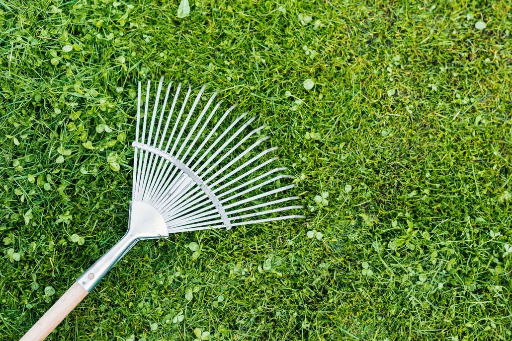 Rastrello bianco sull'erba verde del prato