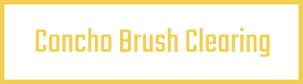 Concho Brush Clearing