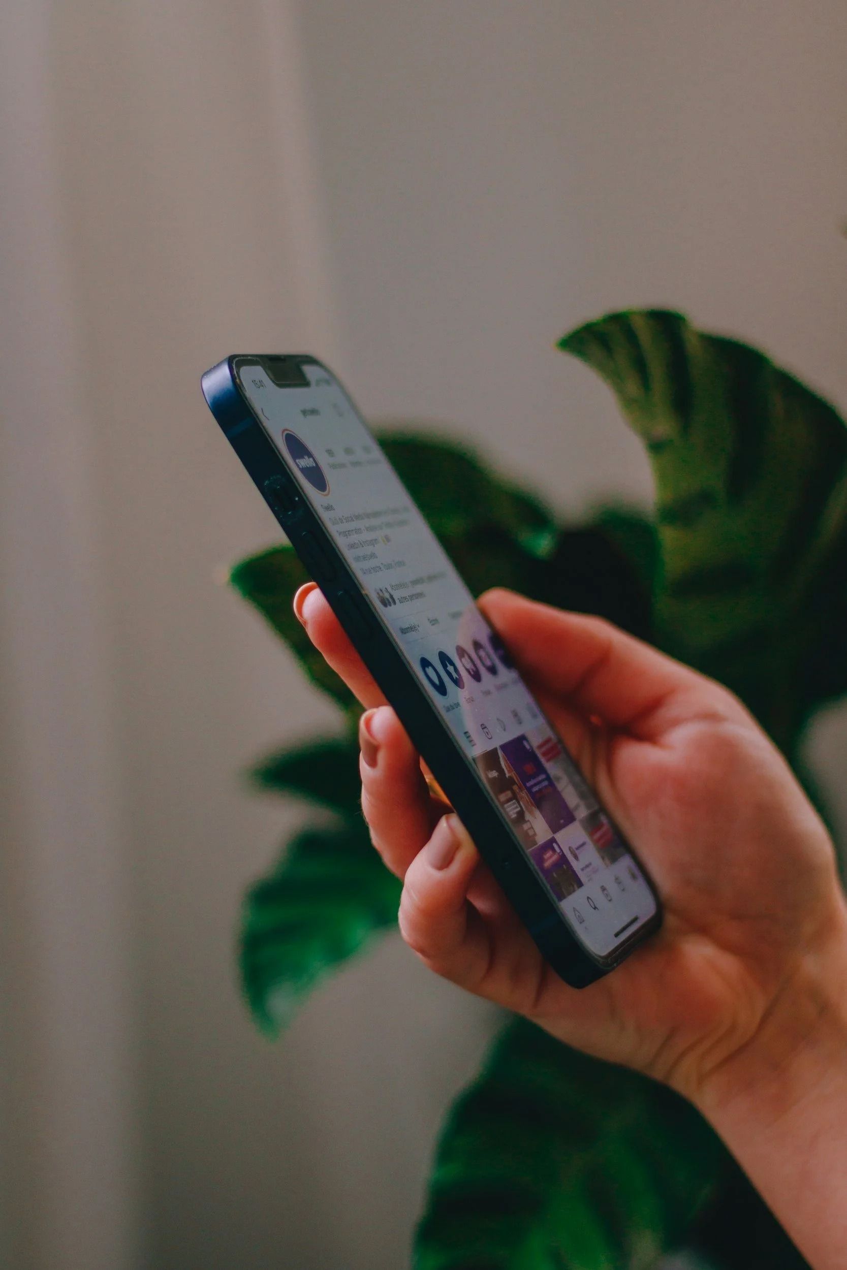 Hand holding a blue smartphone with a social media feed open, near a green plant.