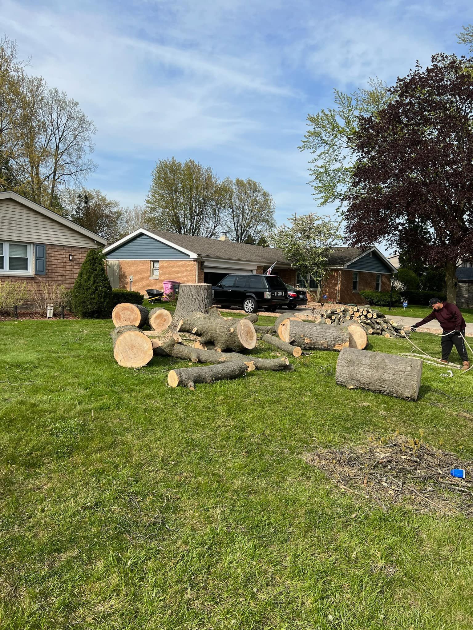 A bunch of logs are laying on the grass in front of a house.