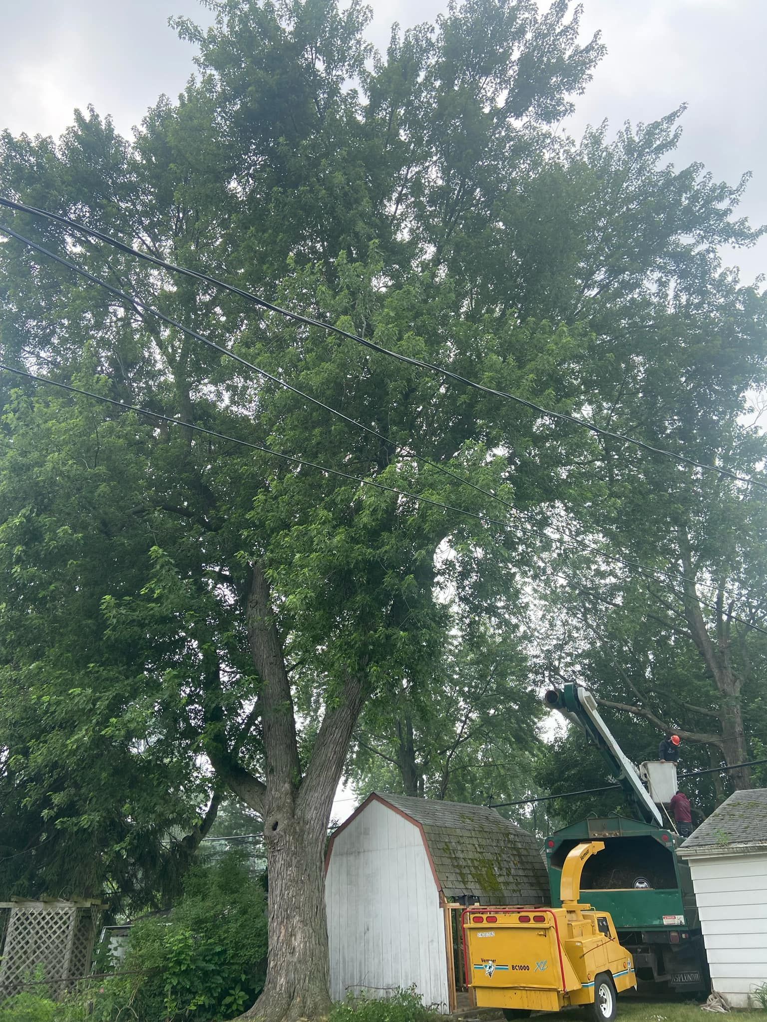 A tree is being cut down by a machine in front of a garage.