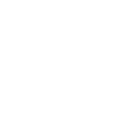 village court logo