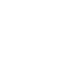 village court logo