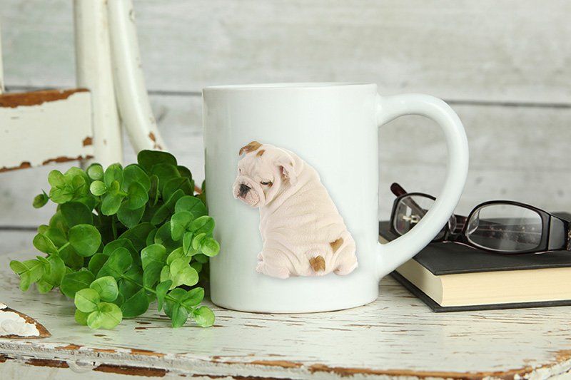 Order Creative Products