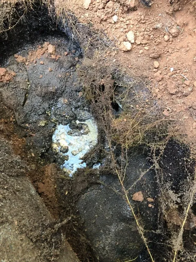 Before Septic Service — McDonough, GA — Express Plumbing & Septic Ground that needs septic system pumping in McDonough, GA