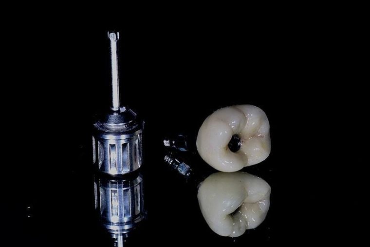 DENTAL PLUS SLP