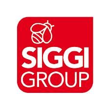Carré rouge avec une icône d'abeille blanche et les mots « SIGGI GROUP » en blanc.