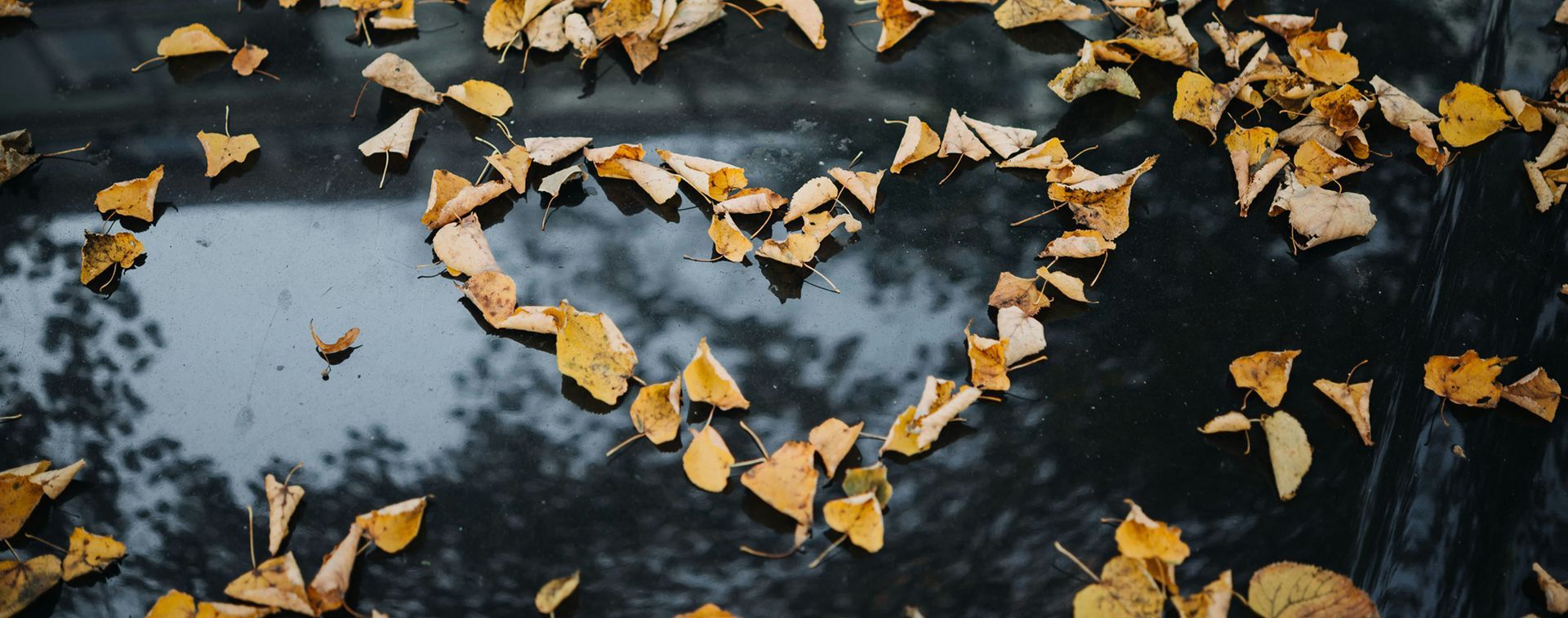 A heart made out of leaves on a black surface
