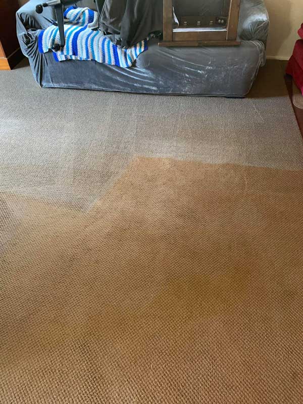 carpet cleaning process