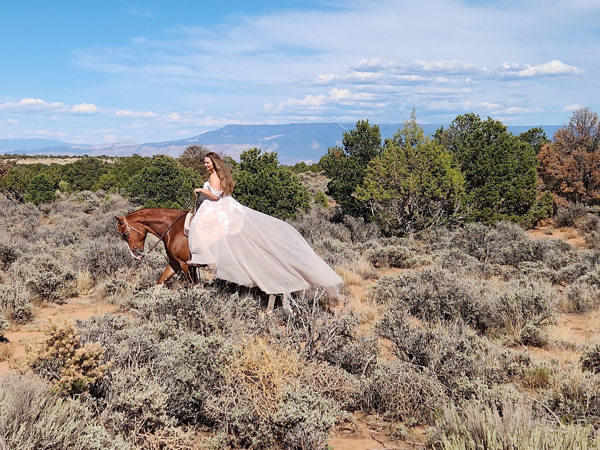Bride in a white dress riding a brown horse across a dry field under a blue sky
