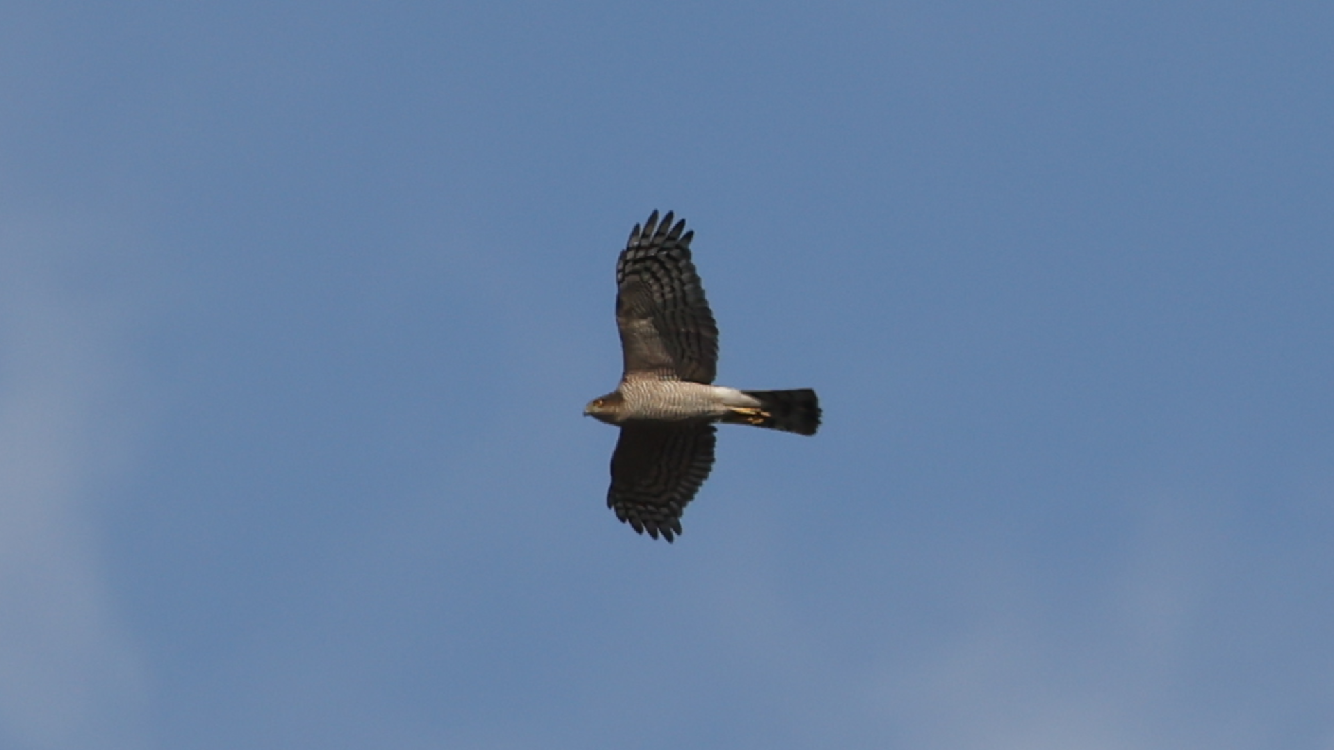 May to August 2026