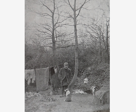 FAIRLOP OAK
DANIEL DAY
FAIRLOP FAIR
HAINAULT FOREST