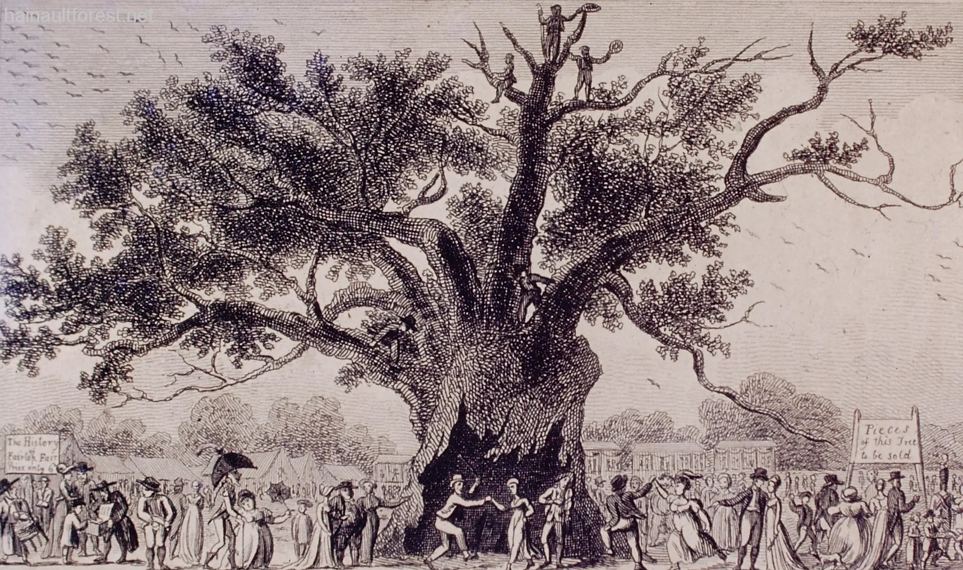FAIRLOP OAK
DANIEL DAY
FAIRLOP FAIR
HAINAULT FOREST