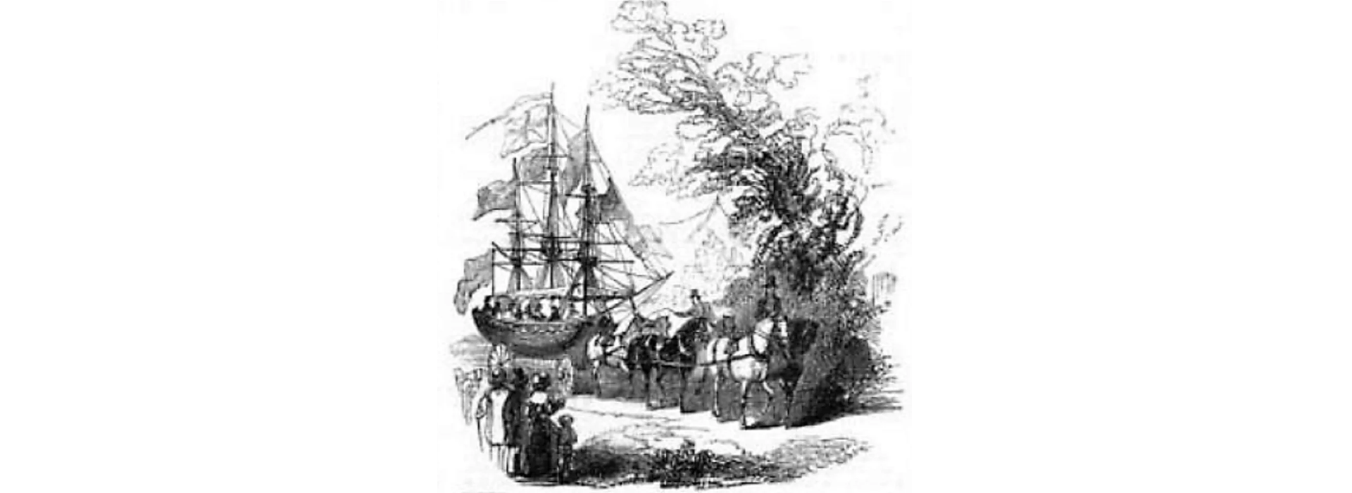 FAIRLOP OAK
DANIEL DAY
FAIRLOP FAIR
HAINAULT FOREST