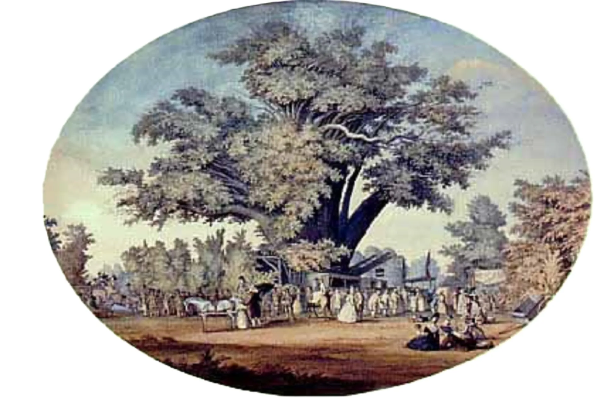 FAIRLOP OAK
DANIEL DAY
FAIRLOP FAIR
HAINAULT FOREST