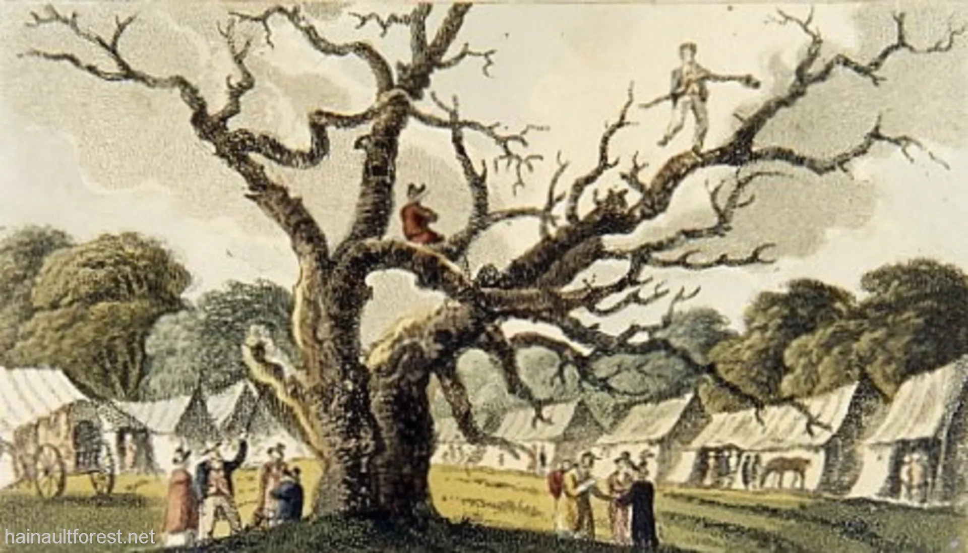 FAIRLOP OAK
DANIEL DAY
FAIRLOP FAIR
HAINAULT FOREST