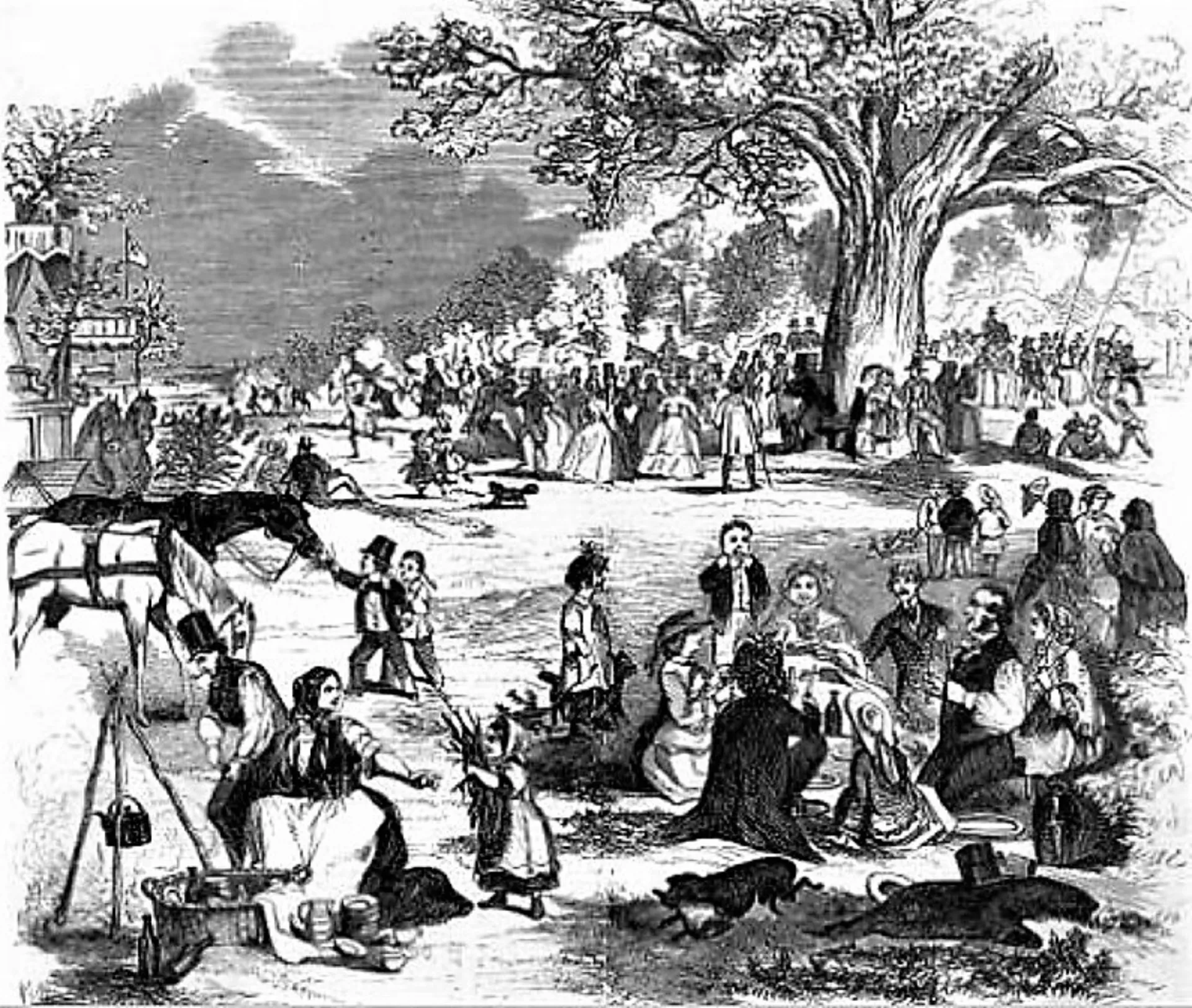 FAIRLOP OAK
DANIEL DAY
FAIRLOP FAIR
HAINAULT FOREST