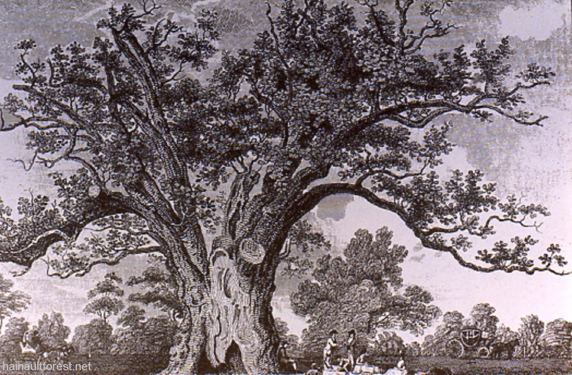 FAIRLOP OAK
DANIEL DAY
FAIRLOP FAIR
HAINAULT FOREST
