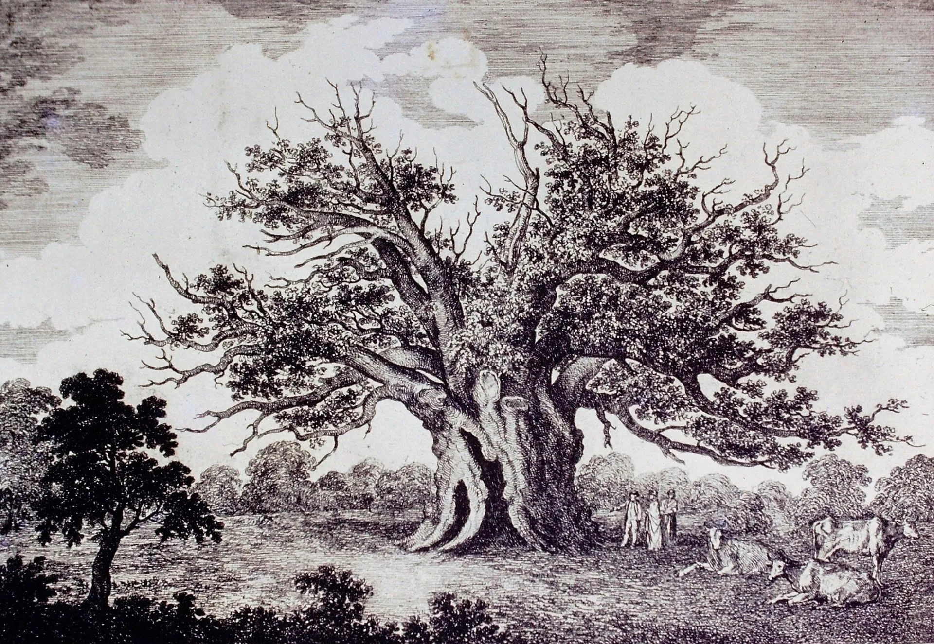 FAIRLOP OAK
DANIEL DAY
FAIRLOP FAIR
HAINAULT FOREST