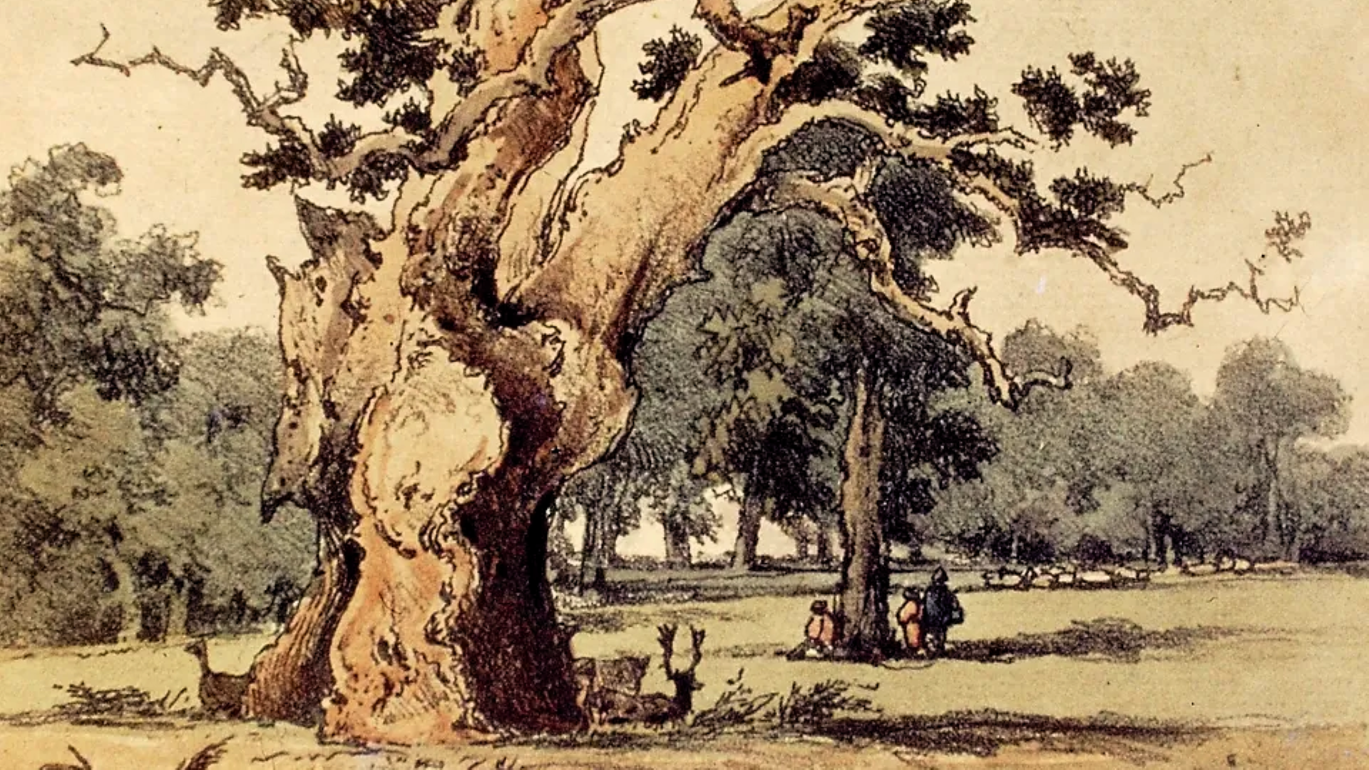 FAIRLOP OAK
DANIEL DAY
FAIRLOP FAIR
HAINAULT FOREST