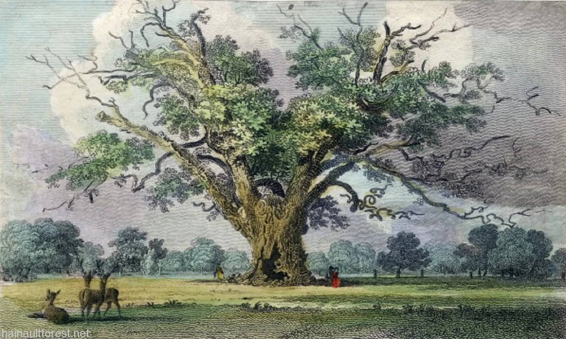 FAIRLOP OAK
DANIEL DAY
FAIRLOP FAIR
HAINAULT FOREST