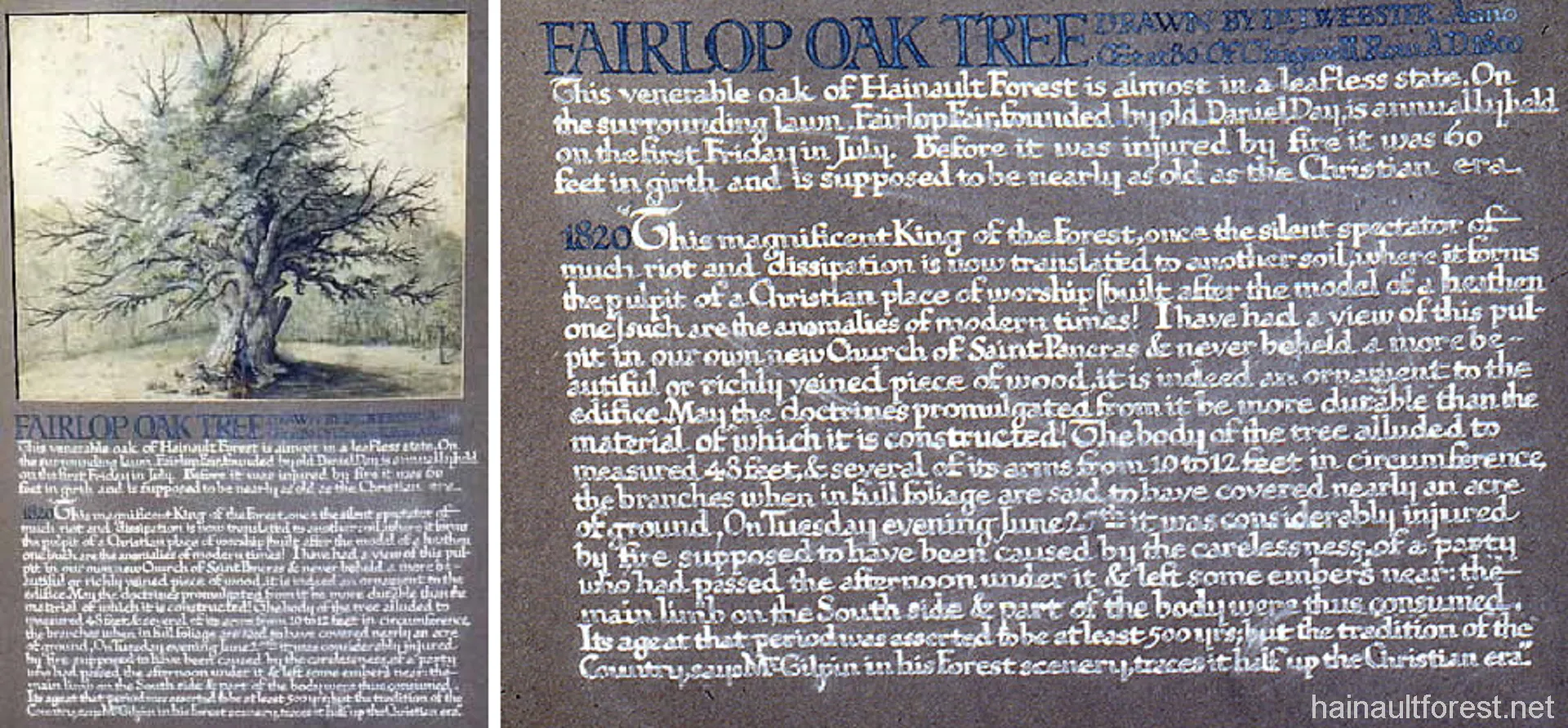 FAIRLOP OAK
DANIEL DAY
FAIRLOP FAIR
HAINAULT FOREST