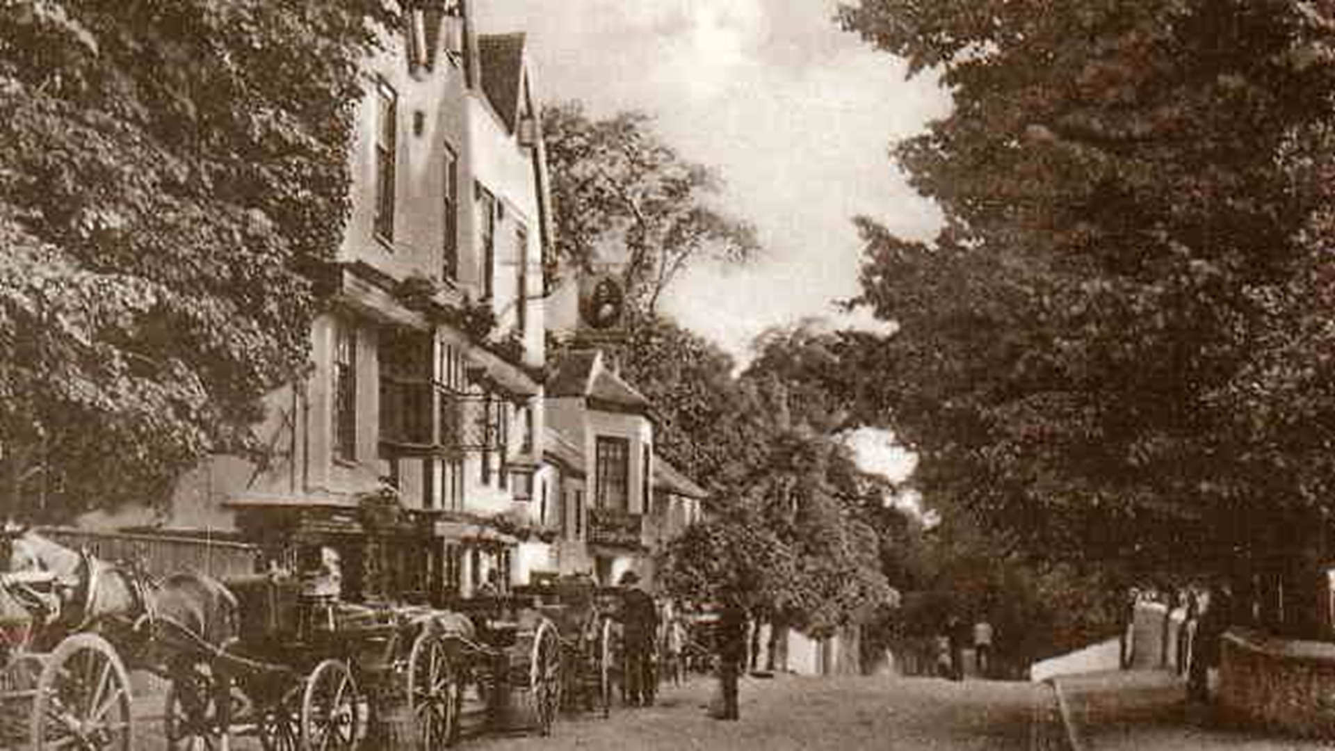 FAIRLOP OAK
DANIEL DAY
FAIRLOP FAIR
HAINAULT FOREST