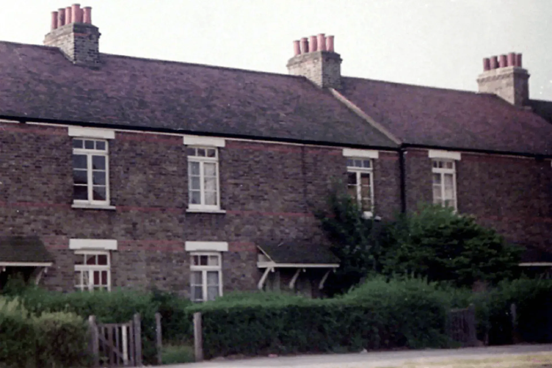 FAIRLOP OAK
DANIEL DAY
FAIRLOP FAIR
HAINAULT FOREST