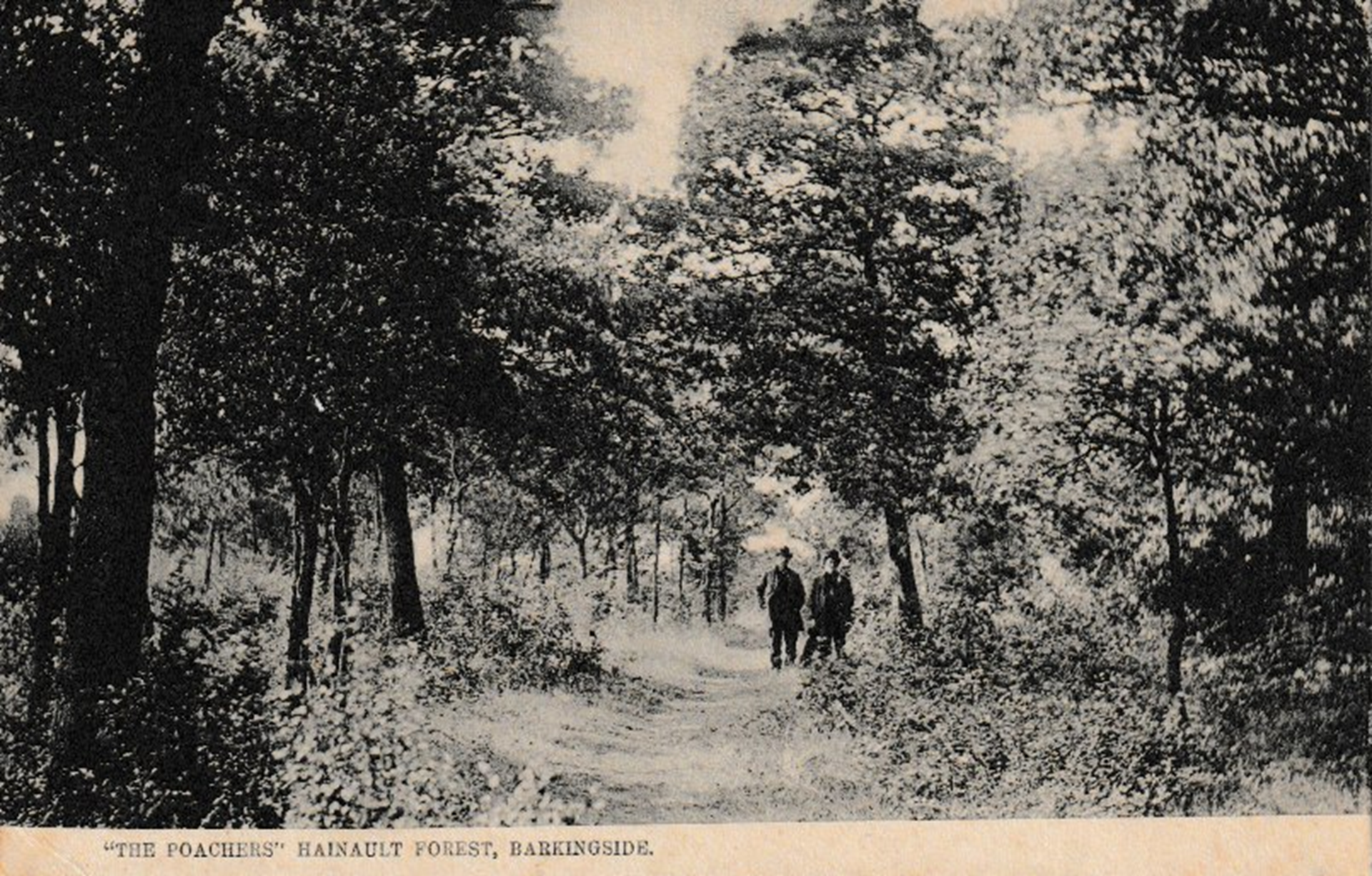 FAIRLOP OAK
DANIEL DAY
FAIRLOP FAIR
HAINAULT FOREST