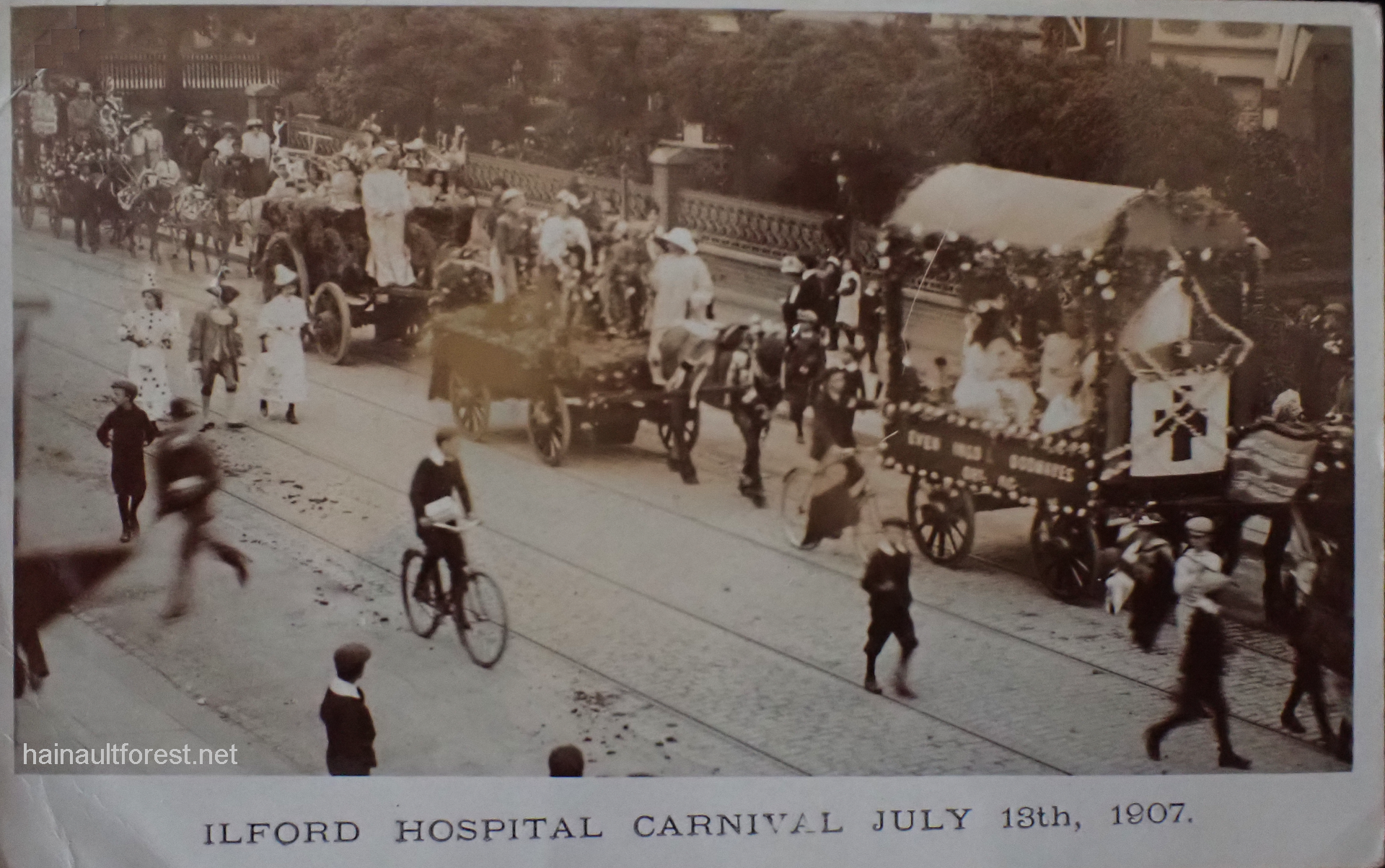 FAIRLOP OAK
DANIEL DAY
FAIRLOP FAIR
HAINAULT FOREST