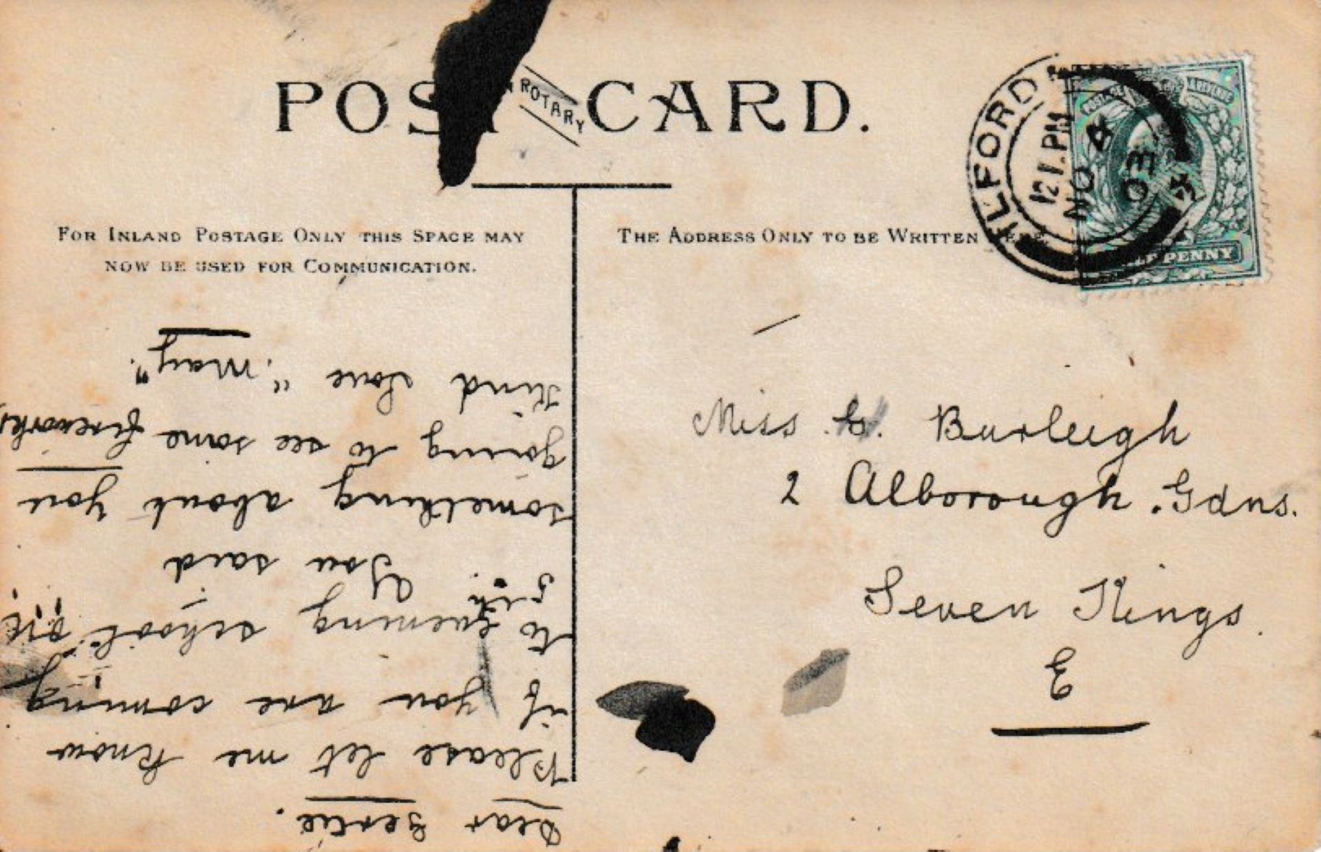 Common Toad
Bufo bufo