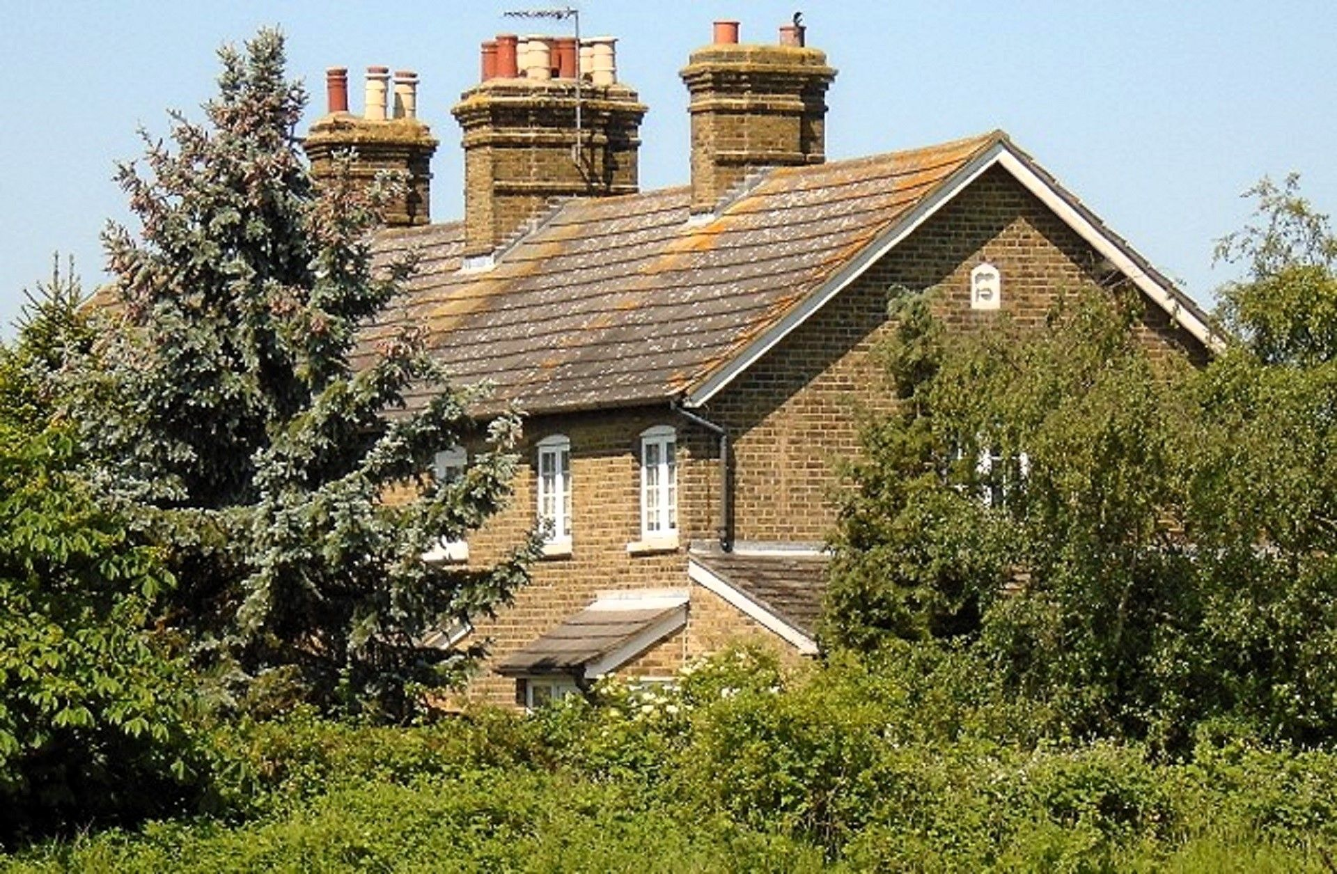 FAIRLOP OAK
DANIEL DAY
FAIRLOP FAIR
HAINAULT FOREST