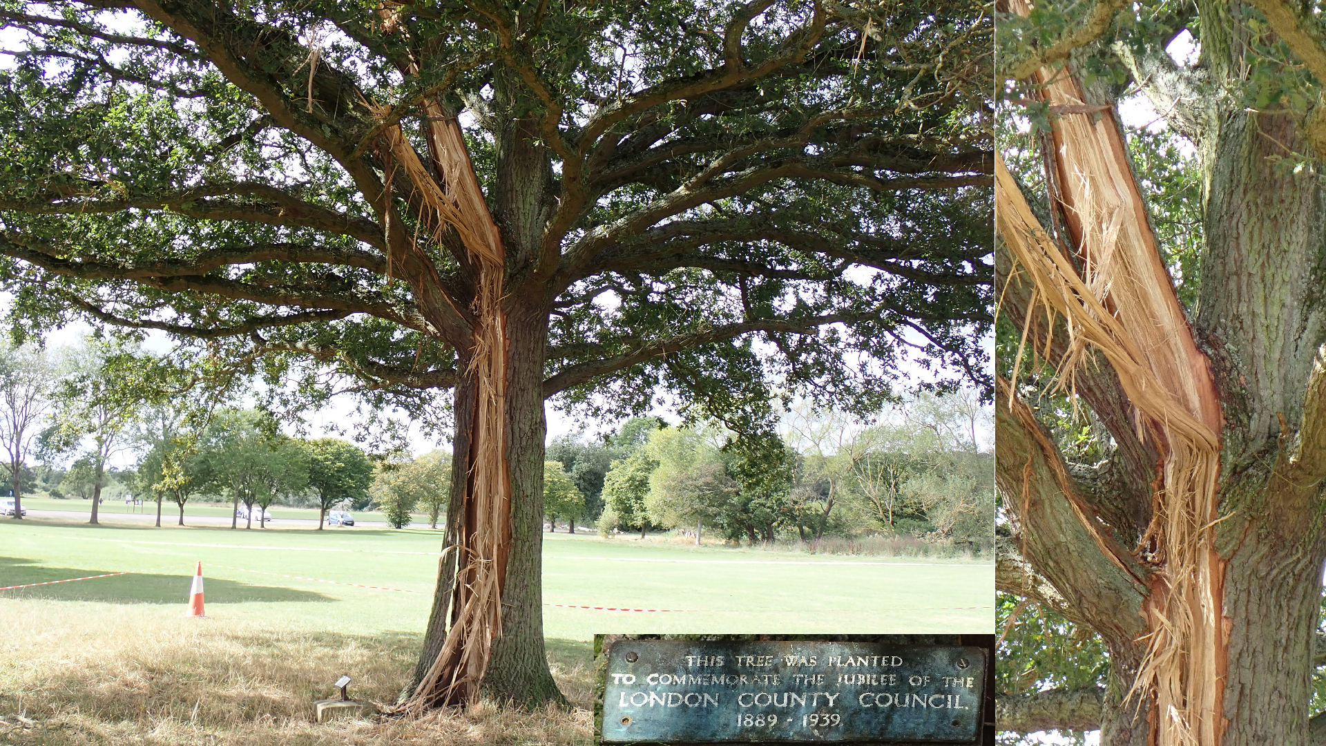 FAIRLOP OAK
DANIEL DAY
FAIRLOP FAIR
HAINAULT FOREST