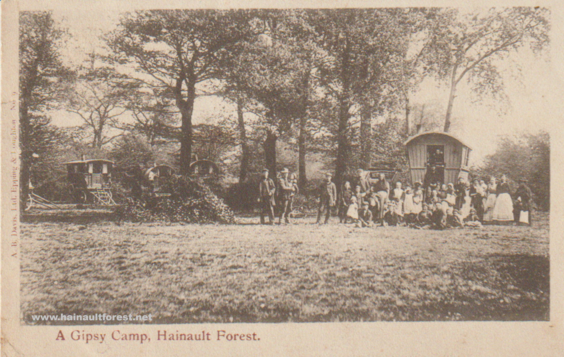 FAIRLOP OAK
DANIEL DAY
FAIRLOP FAIR
HAINAULT FOREST