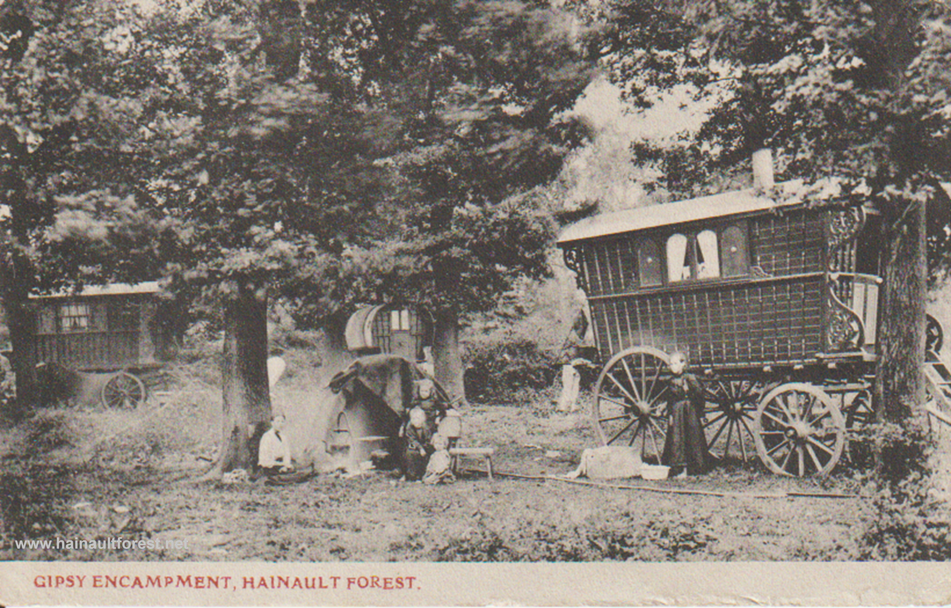 FAIRLOP OAK
DANIEL DAY
FAIRLOP FAIR
HAINAULT FOREST