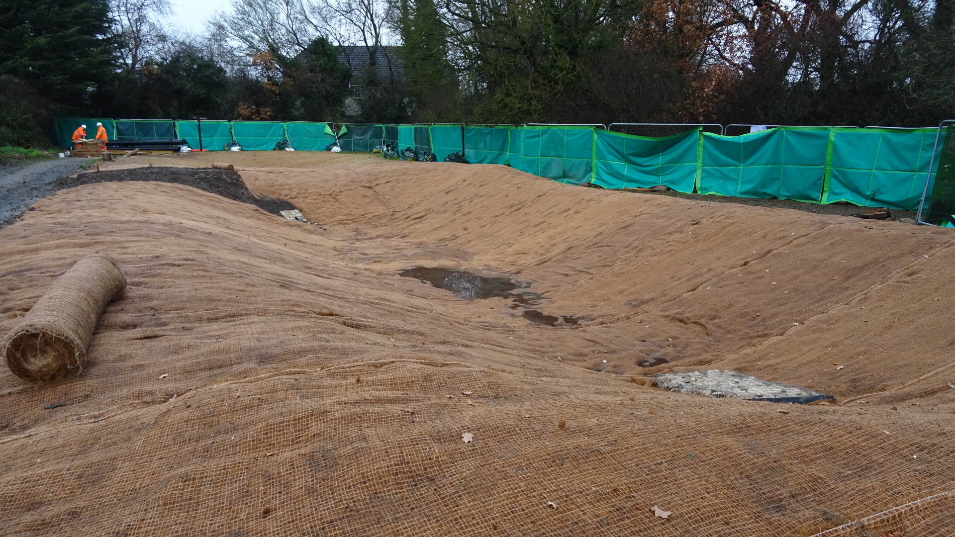 FAIRLOP OAK
DANIEL DAY
FAIRLOP FAIR
HAINAULT FOREST