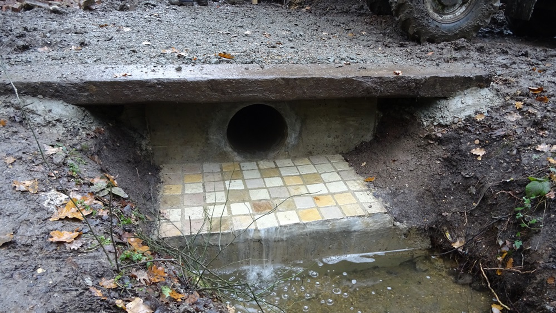 FAIRLOP OAK
DANIEL DAY
FAIRLOP FAIR
HAINAULT FOREST