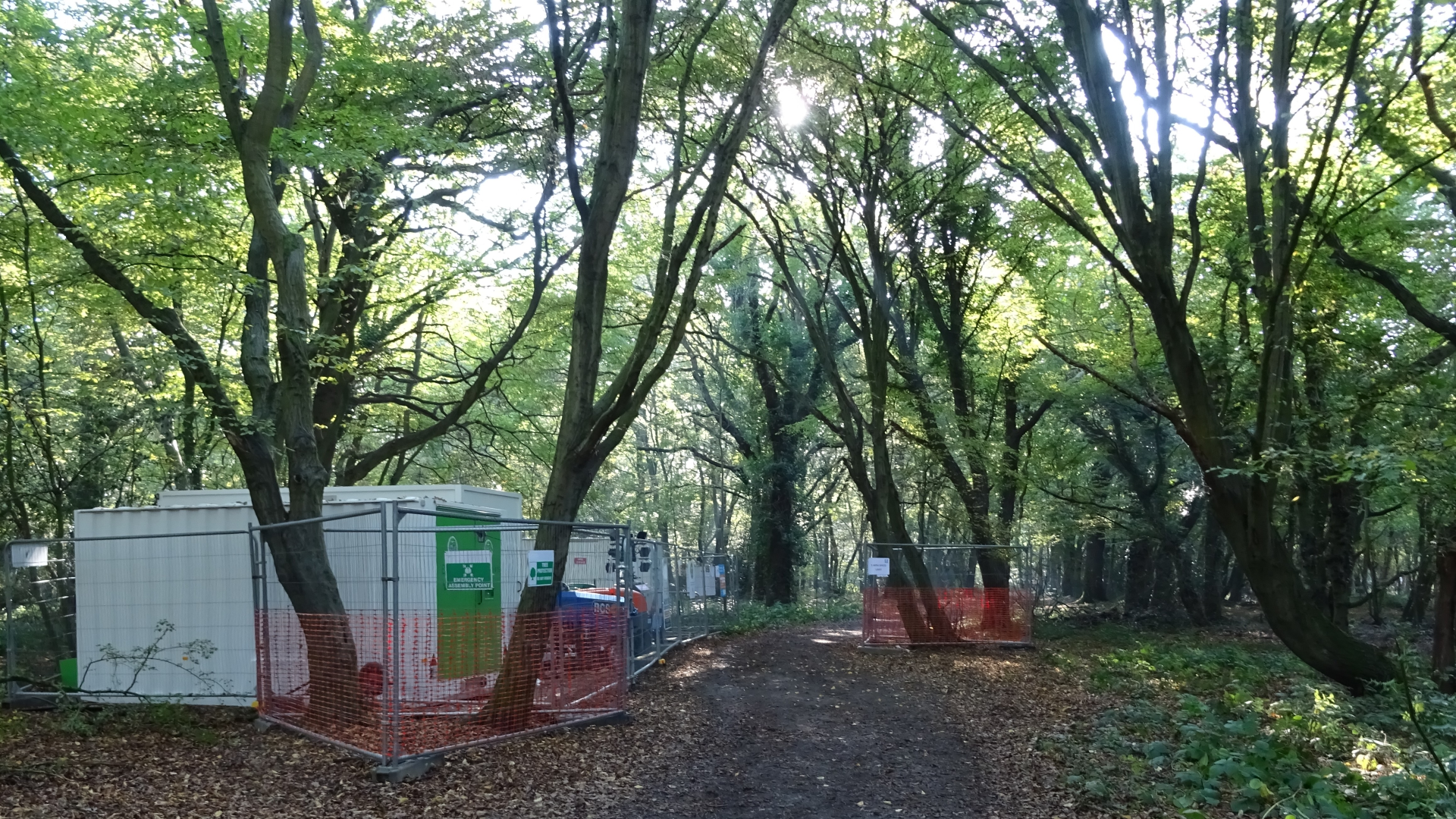 FAIRLOP OAK
DANIEL DAY
FAIRLOP FAIR
HAINAULT FOREST