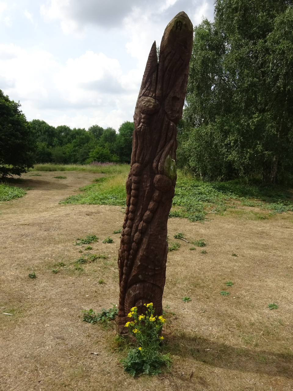 Fossils  Sculpture