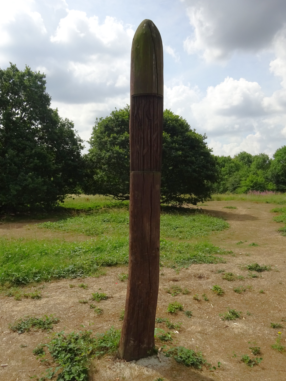 Woodhenge Sculpture Algae