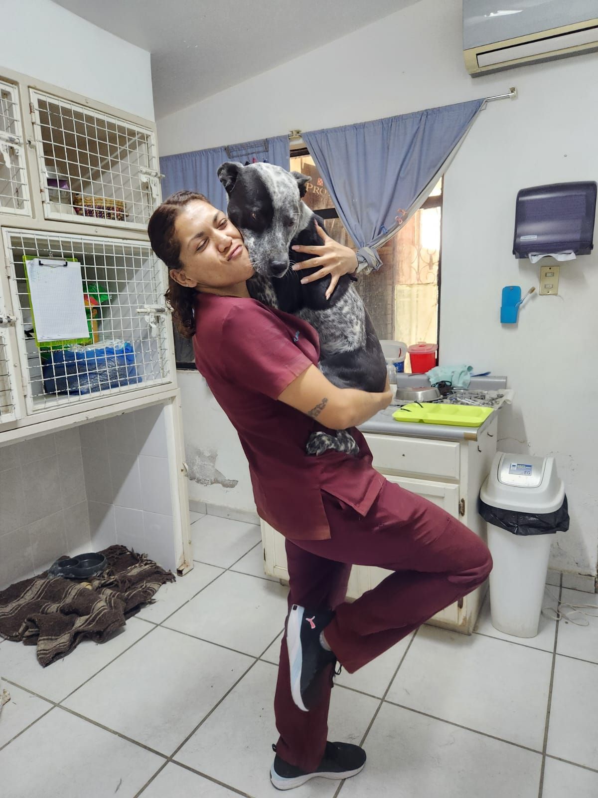 KORA VETERINARIA