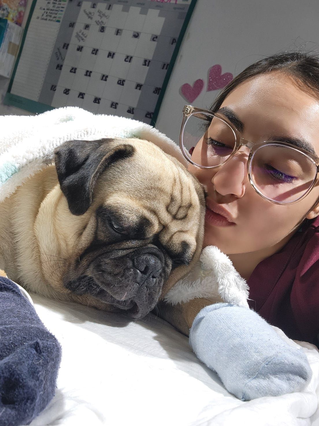 KORA VETERINARIA