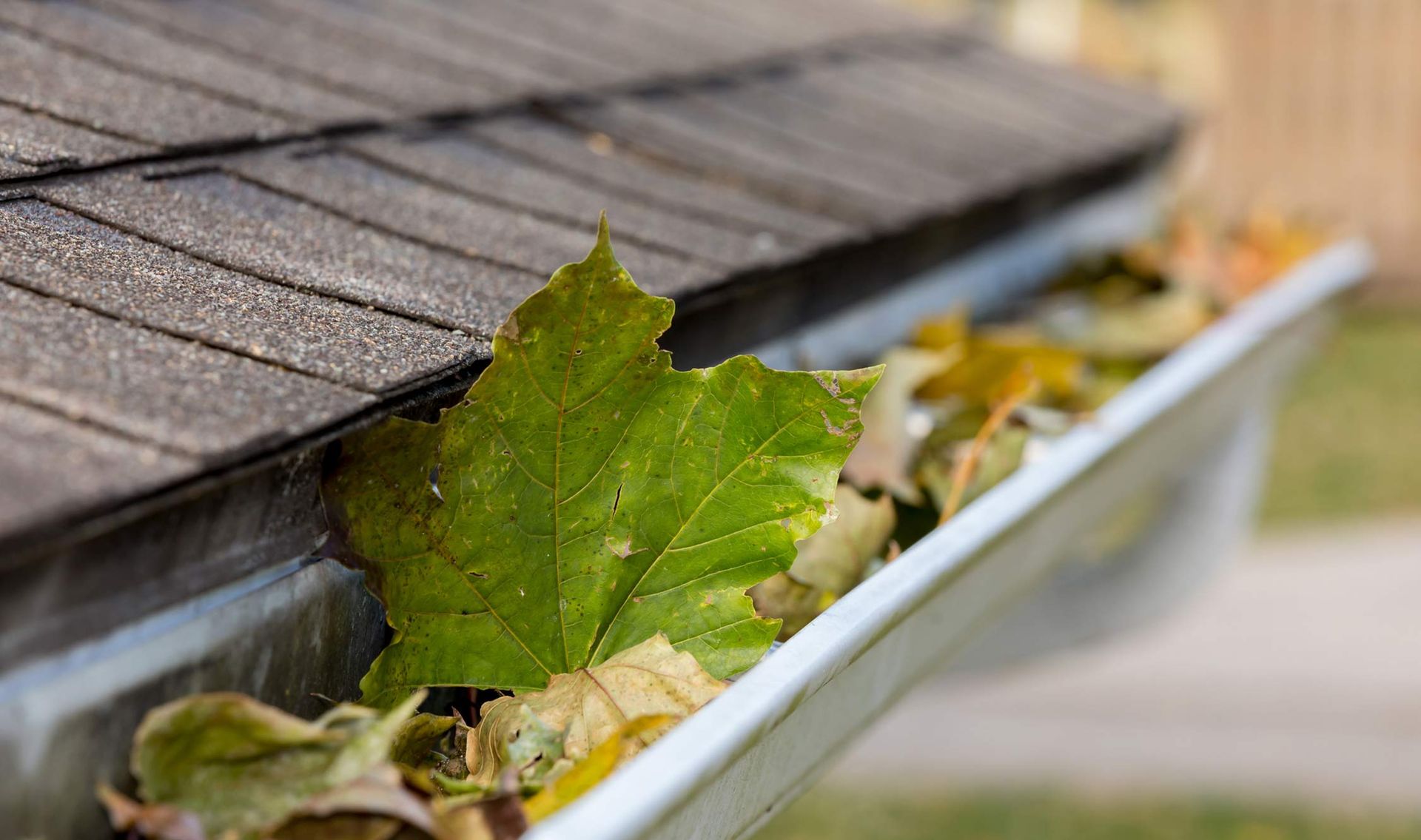 Clogged — Pflugerville, TX — Contracting ATX Clogged — Pflugerville, TX — Contracting ATX