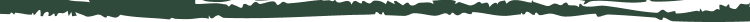 Green-and-white horizontal decorative banner with a thin black line at the top