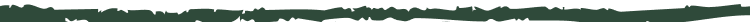 Thin green-and-black striped banner at the top edge of a white background.