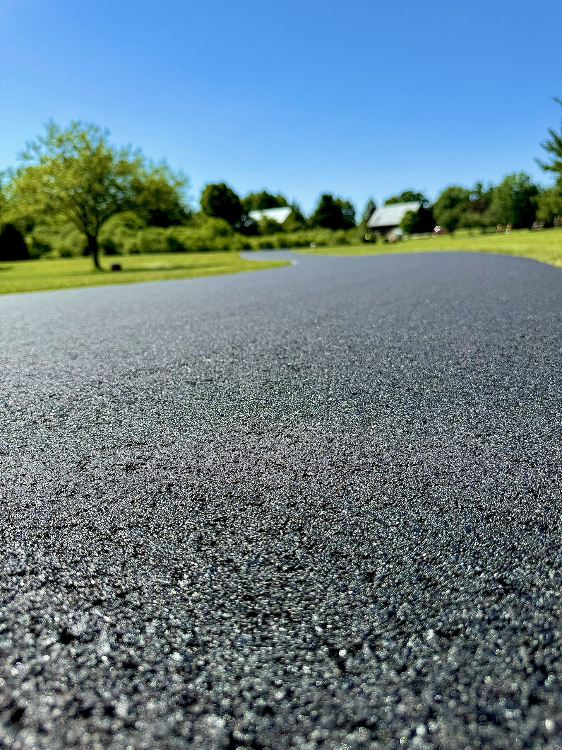 Low-angle view of a paved road with trees and a blue sky in the background